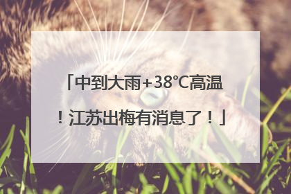 中到大雨+38℃高温！江苏出梅有消息了！