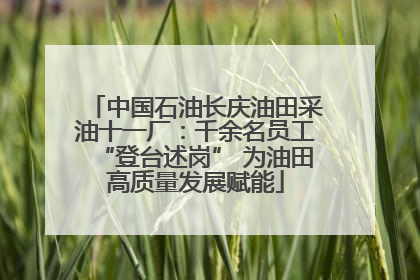 中国石油长庆油田采油十一厂：千余名员工“登台述岗” 为油田高质量发展赋能