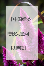 中国经济增长完全可以持续