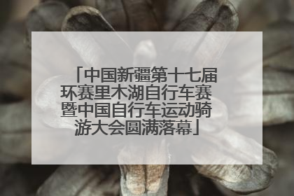 中国新疆第十七届环赛里木湖自行车赛暨中国自行车运动骑游大会圆满落幕