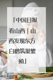 中国日报看山西｜山西发现东方白鹳筑巢繁殖