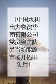 中国水利电力物资华南有限公司党员突击队勇当新能源市场开拓排头兵