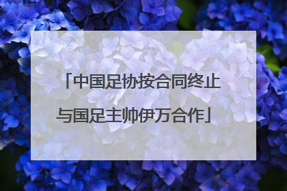 中国足协按合同终止与国足主帅伊万合作