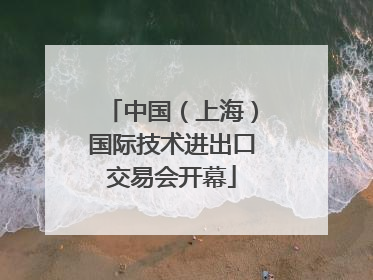 中国（上海）国际技术进出口交易会开幕