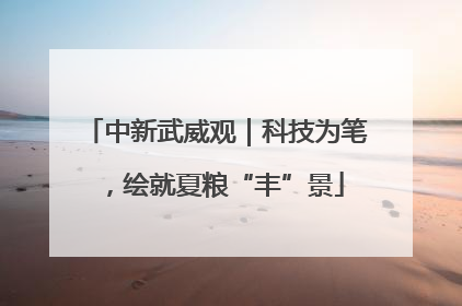 中新武威观｜科技为笔，绘就夏粮“丰”景