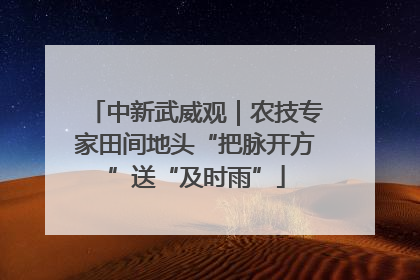 中新武威观｜农技专家田间地头“把脉开方”送“及时雨”