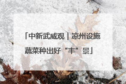 中新武威观｜凉州设施蔬菜种出好“丰”景