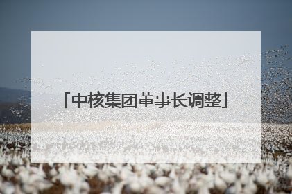 中核集团董事长调整