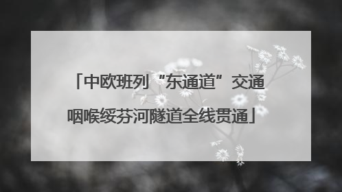 中欧班列“东通道”交通咽喉绥芬河隧道全线贯通