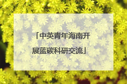 中英青年海南开展蓝碳科研交流
