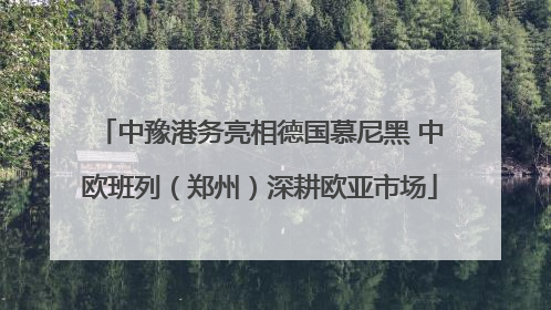 中豫港务亮相德国慕尼黑 中欧班列（郑州）深耕欧亚市场