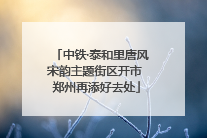 中铁·泰和里唐风宋韵主题街区开市 郑州再添好去处