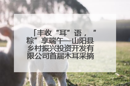 丰收“耳”语，“粽”享端午—山阳县乡村振兴投资开发有限公司首届木耳采摘活动盛大启幕
