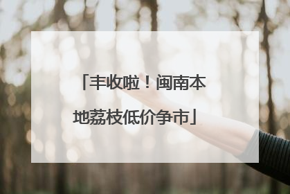 丰收啦！闽南本地荔枝低价争市