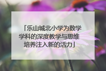 乐山城北小学为数学学科的深度教学与思维培养注入新的活力