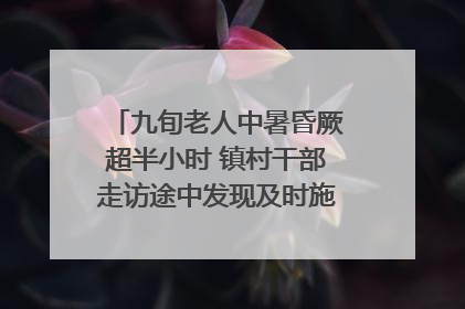 九旬老人中暑昏厥超半小时 镇村干部走访途中发现及时施救｜看见正能量