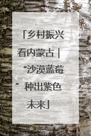 乡村振兴看内蒙古｜“沙漠蓝莓”种出紫色未来
