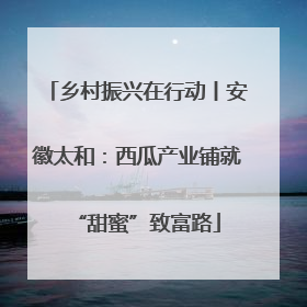 乡村振兴在行动丨安徽太和：西瓜产业铺就“甜蜜”致富路