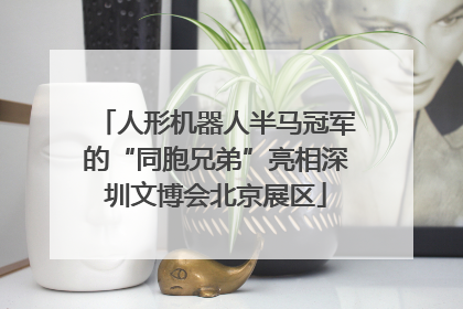人形机器人半马冠军的“同胞兄弟”亮相深圳文博会北京展区