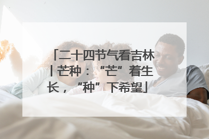 二十四节气看吉林丨芒种：“芒”着生长，“种”下希望