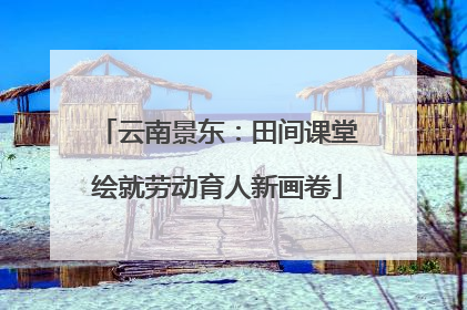 云南景东：田间课堂绘就劳动育人新画卷