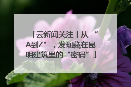 云新闻关注丨从 “A到Z”，发现藏在昆明建筑里的“密码”