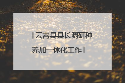 云霄县县长调研种养加一体化工作