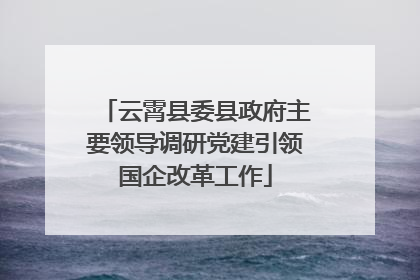 云霄县委县政府主要领导调研党建引领国企改革工作