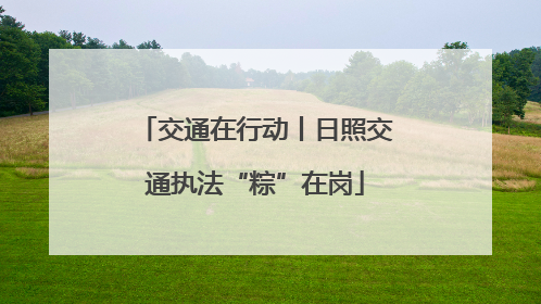 交通在行动丨日照交通执法“粽”在岗