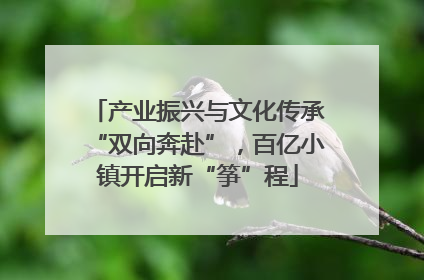 产业振兴与文化传承“双向奔赴”，百亿小镇开启新“筝”程