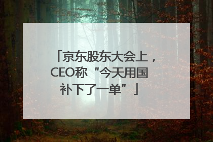 京东股东大会上，CEO称“今天用国补下了一单”