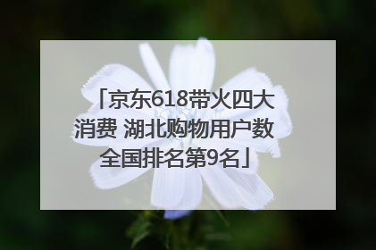 京东618带火四大消费 湖北购物用户数全国排名第9名