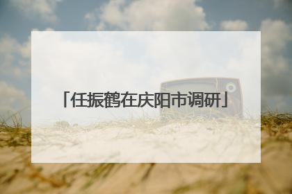 任振鹤在庆阳市调研