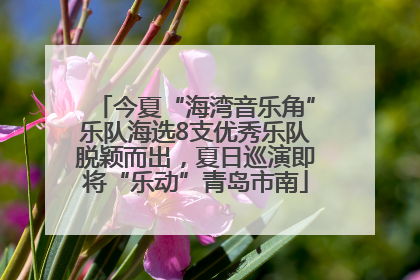 今夏“海湾音乐角”乐队海选8支优秀乐队脱颖而出，夏日巡演即将“乐动”青岛市南