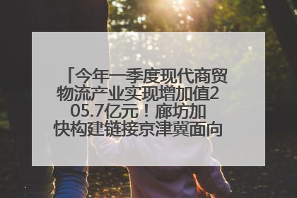 今年一季度现代商贸物流产业实现增加值205.7亿元！廊坊加快构建链接京津冀面向全世界的物流通道