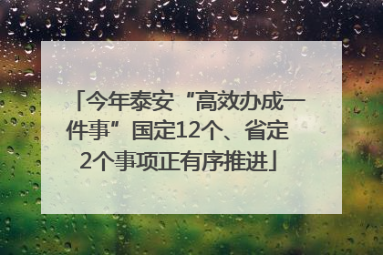 今年泰安“高效办成一件事”国定12个、省定2个事项正有序推进