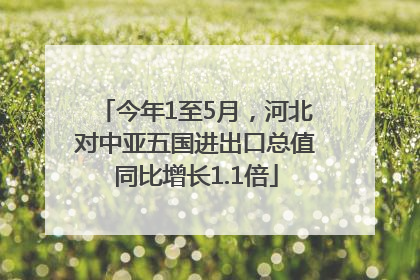 今年1至5月，河北对中亚五国进出口总值同比增长1.1倍