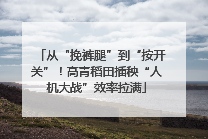 从“挽裤腿”到“按开关”！高青稻田插秧“人机大战”效率拉满