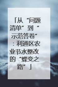 从“问题清单”到“示范答卷”：利通区农业节水整改的“蝶变之路”