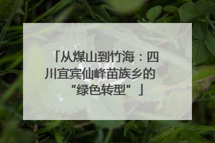 从煤山到竹海：四川宜宾仙峰苗族乡的“绿色转型”