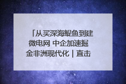 从买深海鳀鱼到建微电网 中企加速掘金非洲现代化｜直击中非经贸博览会