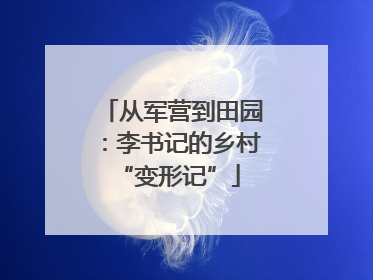 从军营到田园：李书记的乡村 “变形记”
