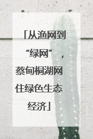从渔网到“绿网”，蔡甸桐湖网住绿色生态经济
