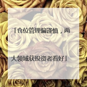 仓位管理偏谨慎，两大领域获投资者看好