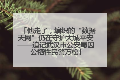 他走了，编织的“数据天网”仍在守护大城平安——追记武汉市公安局因公牺牲民警万松