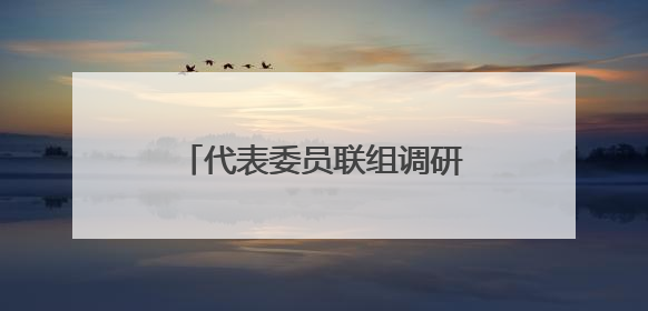 代表委员联组调研文化场馆 共商公共服务提质路径