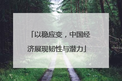 以稳应变,中国经济展现韧性与潜力