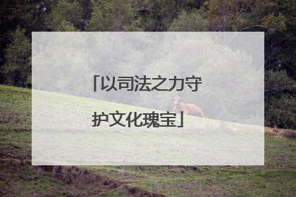 以司法之力守护文化瑰宝