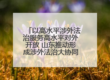 以高水平涉外法治服务高水平对外开放 山东推动形成涉外法治大协同工作格局