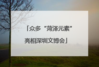 众多“菏泽元素”亮相深圳文博会